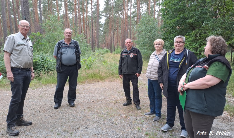 Foto: Stiller